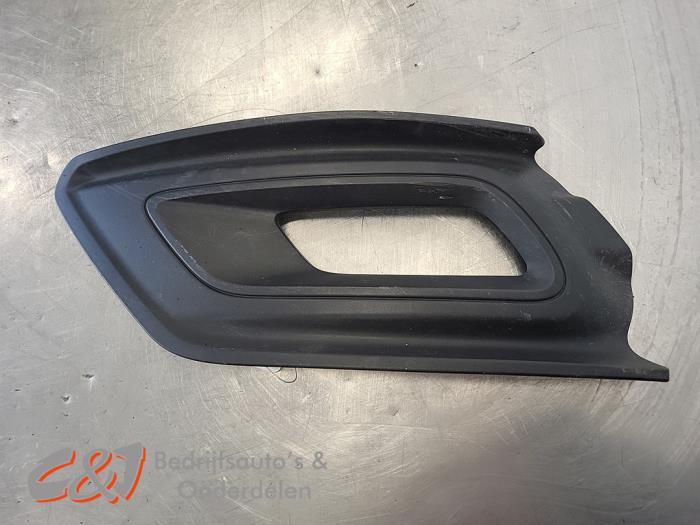 Plaque de protection feu antibrouillard gauche d'un Ford Tra, -, 3 mois de garantie, -, -