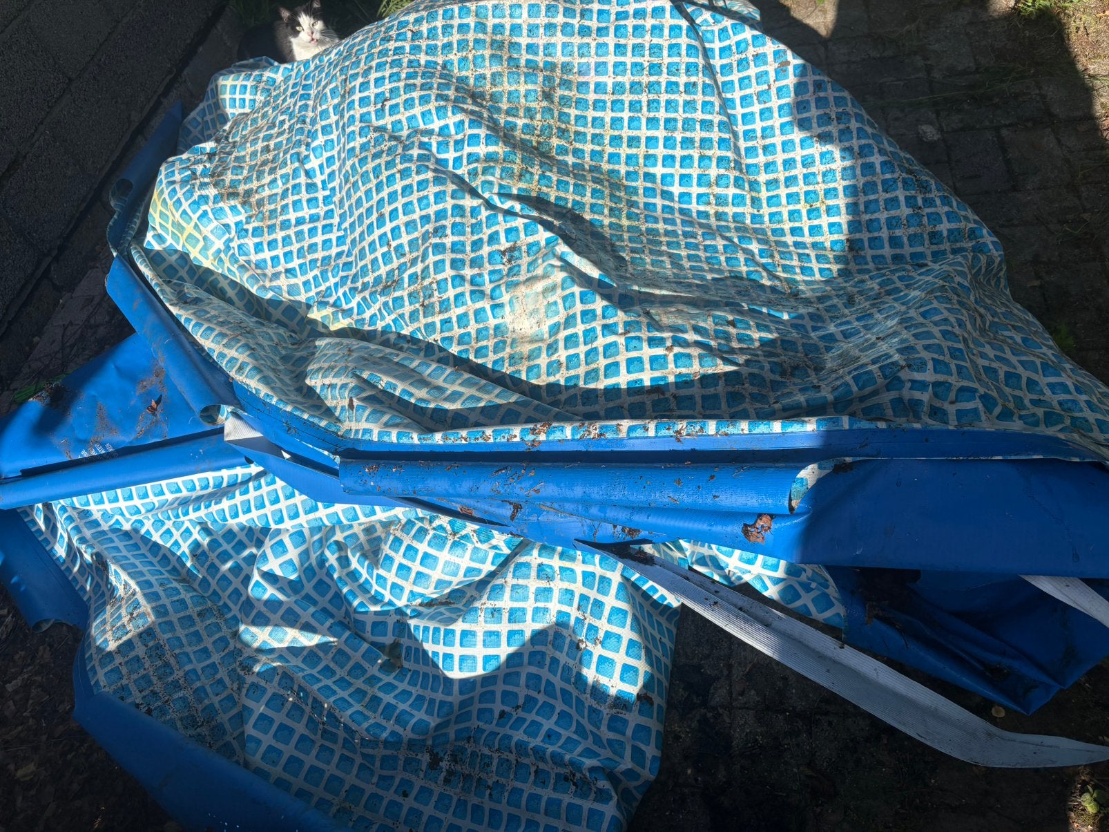 Zwembad te geef, Tuin en Terras, Ophalen, Gebruikt, 80 tot 120 cm, Opzetzwembad
