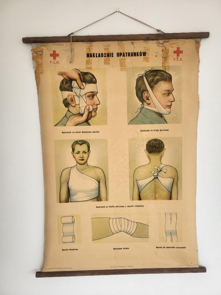 Oude poster geneeskunde, Antiek en Kunst, Ophalen, Natuur en Biologie