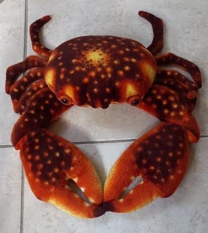 Knuffel krab, Ophalen of Verzenden, Zo goed als nieuw, Wasbaar