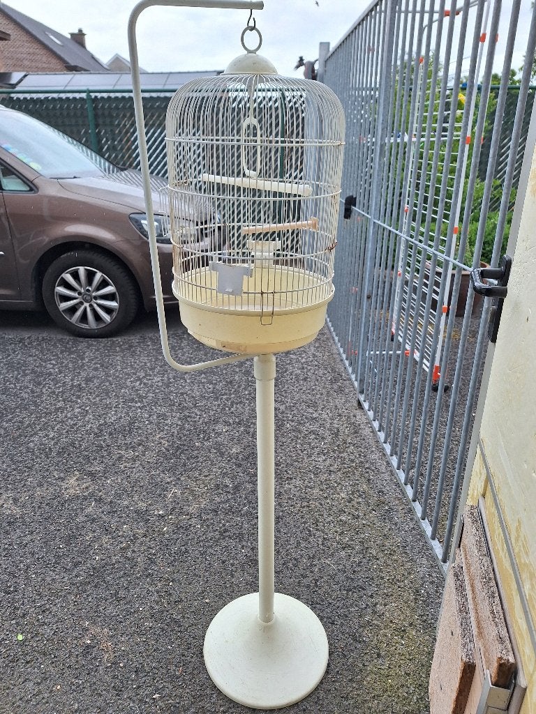 VOGELKOOIEN 5 EURO PER STUK!!, Ophalen