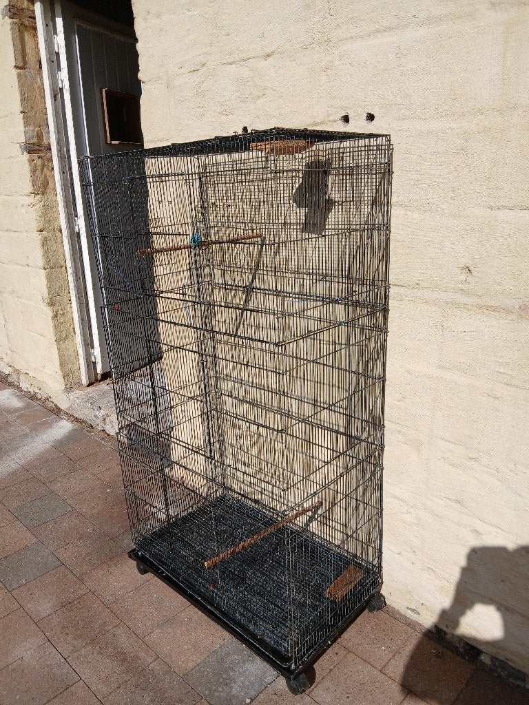 Vogelkooi, Ophalen, Gebruikt, Metaal, Vogelkooi