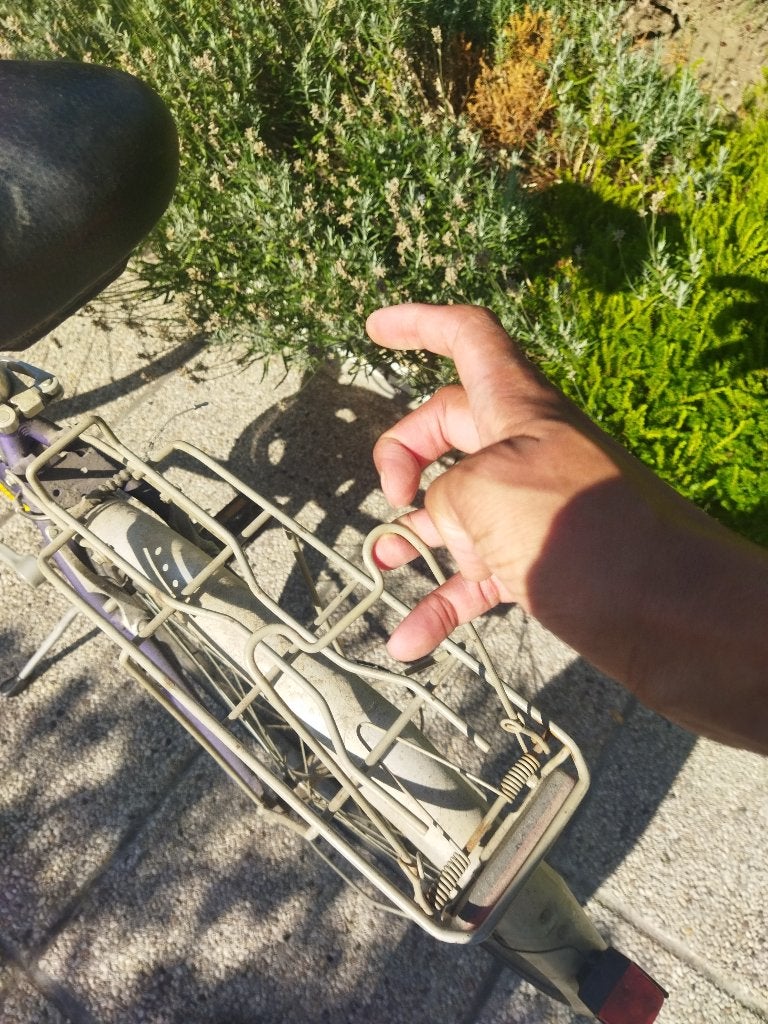Damesfiets, Gebruikt, Velgrem, 47 tot 50 cm, Versnellingen