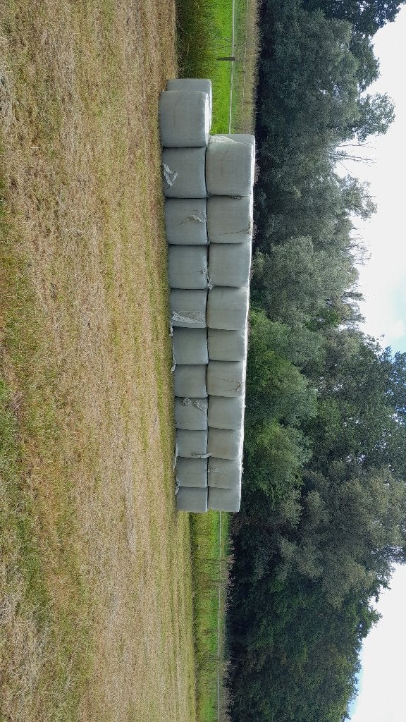 Midi balen, Dieren en Toebehoren, Ophalen, Vee