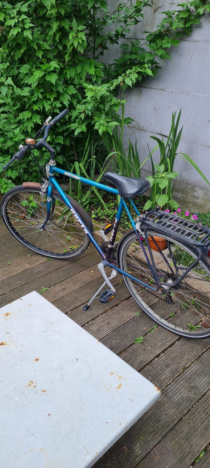 Fiets heren, Fietsen en Brommers, Ophalen, Gebruikt, Velgrem, Versnellingen