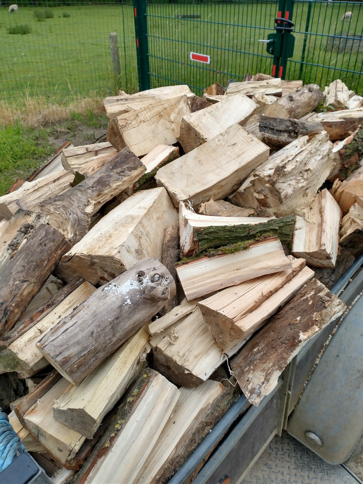 te koop brandhout kana wilg 75 € de kub afhalen, Tuin en Terras, Brandhout, Ophalen