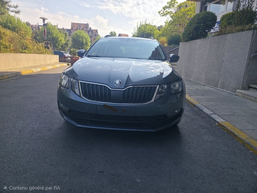 Skoda octavia break 2019, Auto's, Stof, Euro 6, Automatische klimaatregeling, Particulier