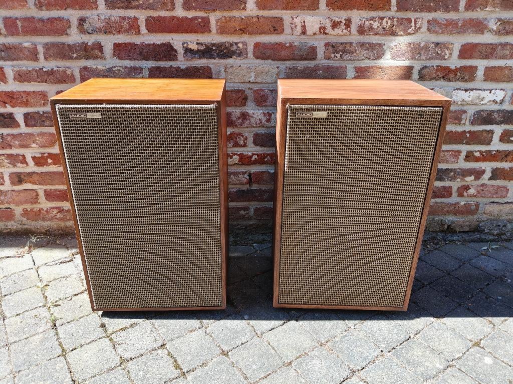 Vintage boxen Audio Professional, AP40, Audio, Tv en Foto, Luidsprekerboxen, Ophalen, Gebruikt, Minder dan 60 watt, Front, Rear of Stereo speakers
