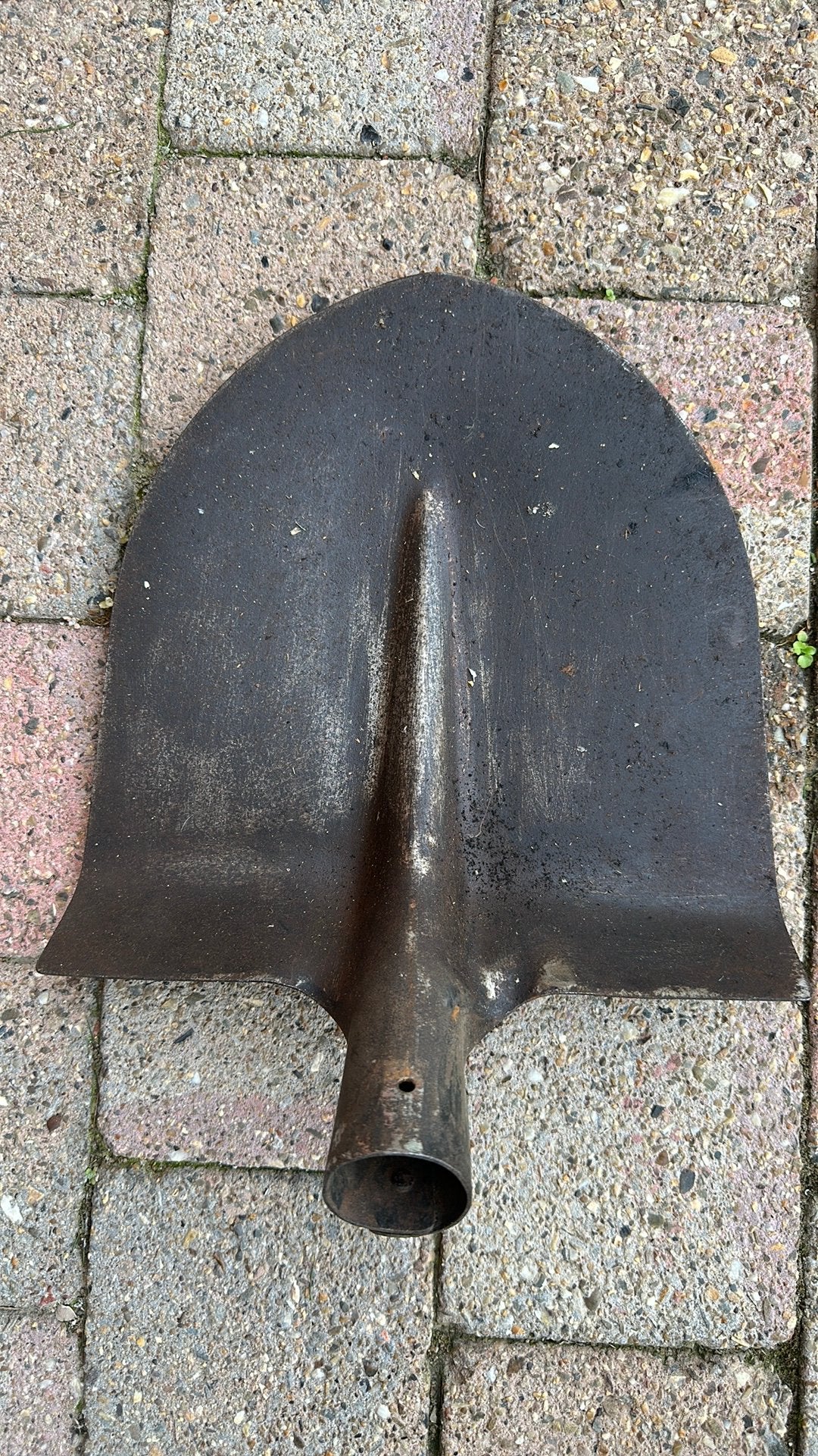 Pelle de jardin, Jardin & Terrasse, Enlèvement