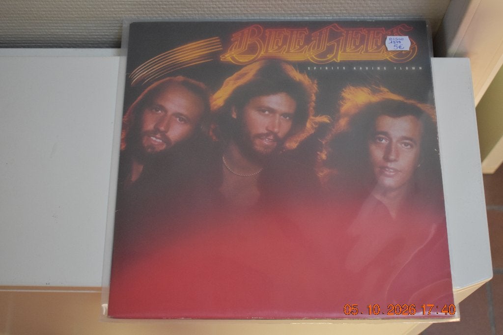 2 LP's : "Bee Gees", Cd's en Dvd's, Beschermende buitenhoes, Ophalen of Verzenden, Gebruikt, LP