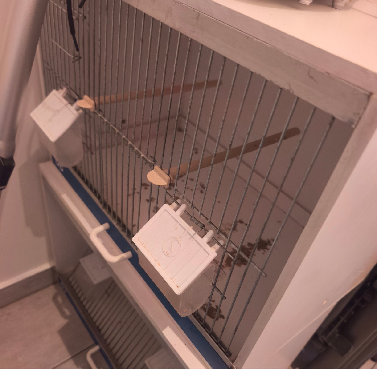 cage élevage pour les deux, Animaux & Accessoires, Enlèvement, Utilisé, Bois, Cage d'élevage