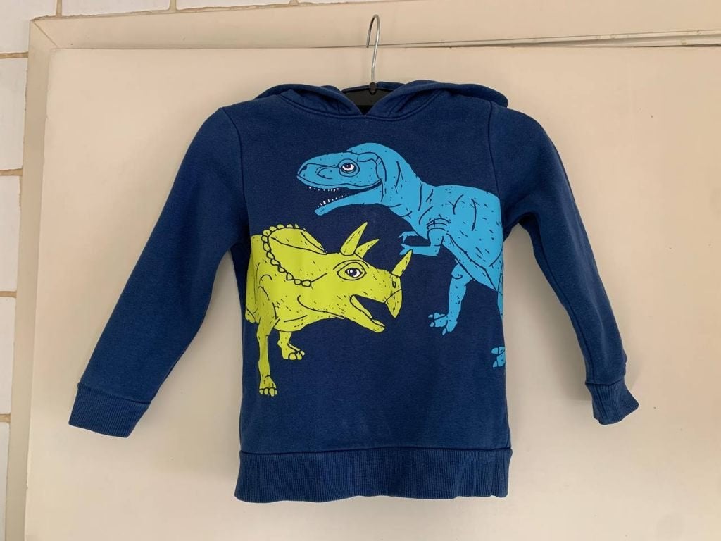 Hoodie maat 110, Enfants & Bébés, Garçon, C&A, Pull ou Veste, Enlèvement