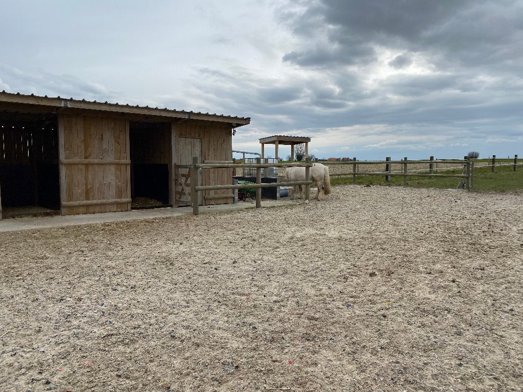 Pension pré/box chevaux – Proche Comines (Houthem) 7781, Animaux & Accessoires, Mise à l'étable, 1 cheval ou poney