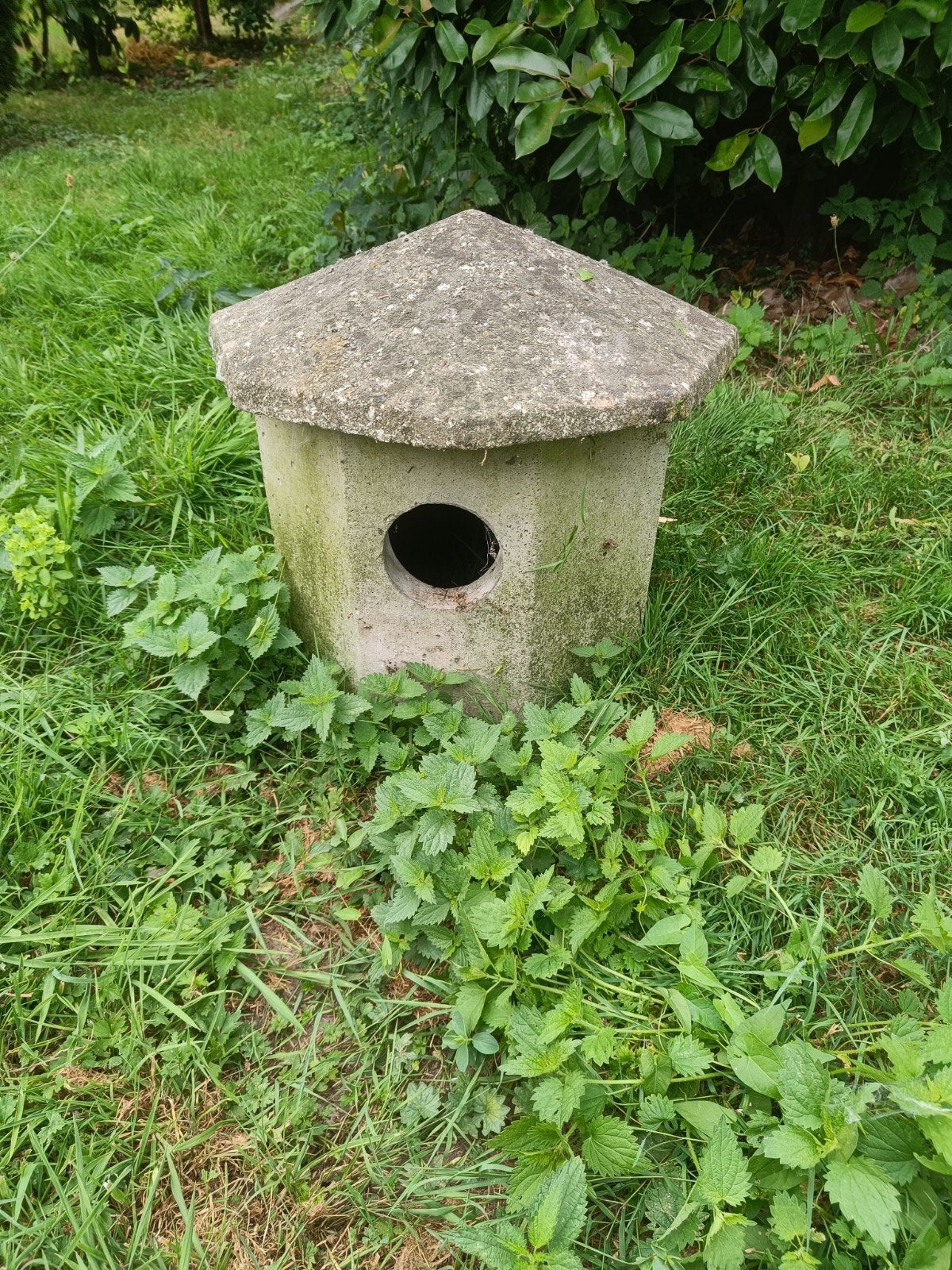 Cage à canard, Enlèvement, Comme neuf, Autres types