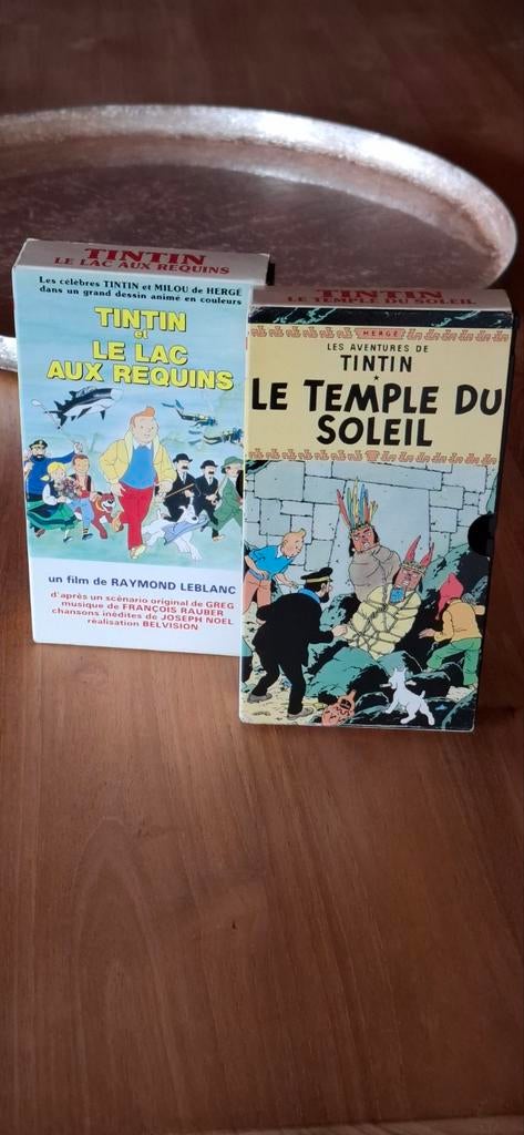 2 CASSETTES DE TINTIN VHS PAL, Maison & Meubles