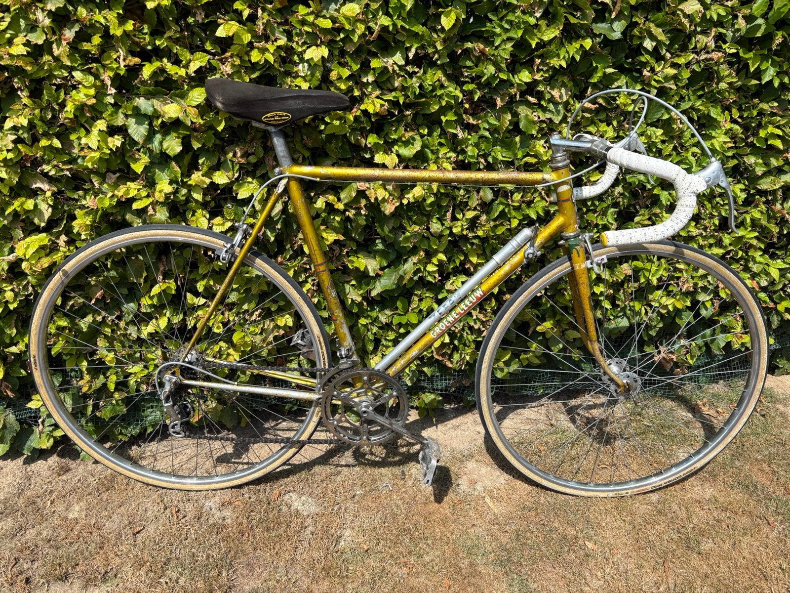 Koersfiets groene leeuw, Ophalen, Gebruikt