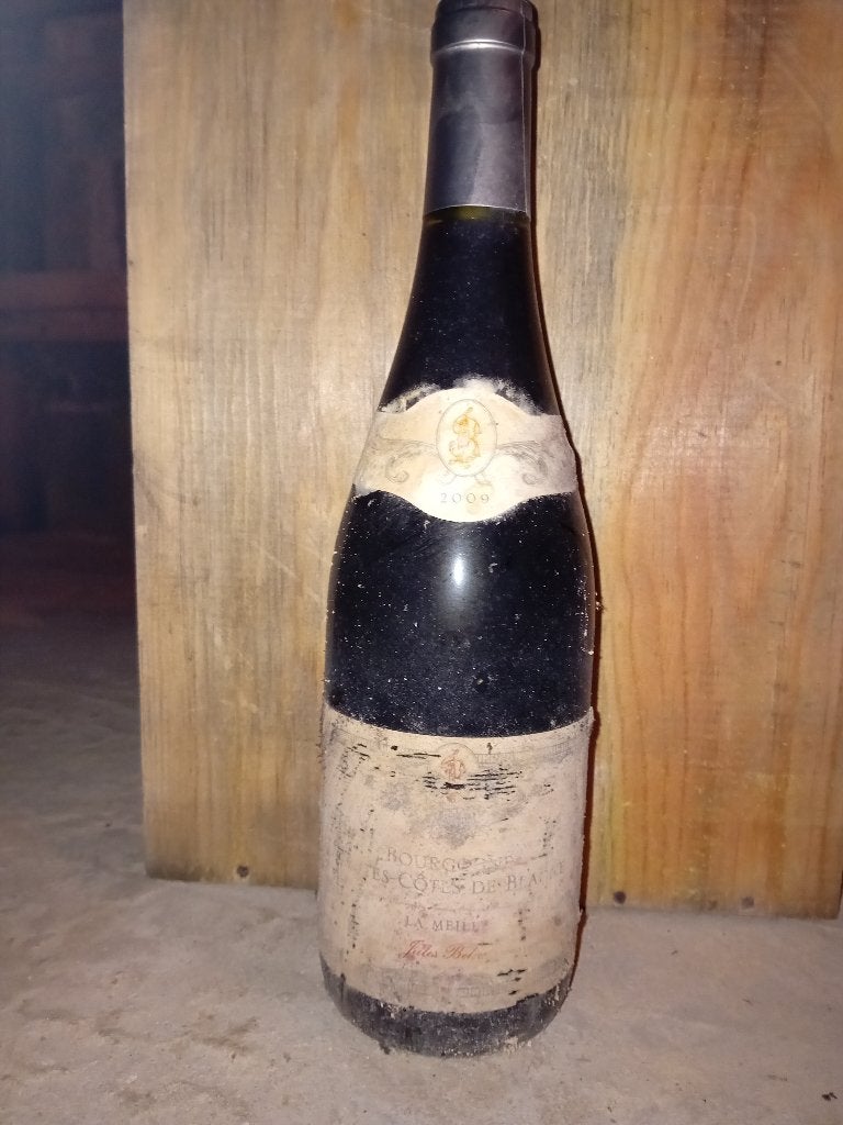 Vin rouge Bourgogne Hautes-Côtes de Baunes 2009, Enlèvement, Vin rouge, Pleine