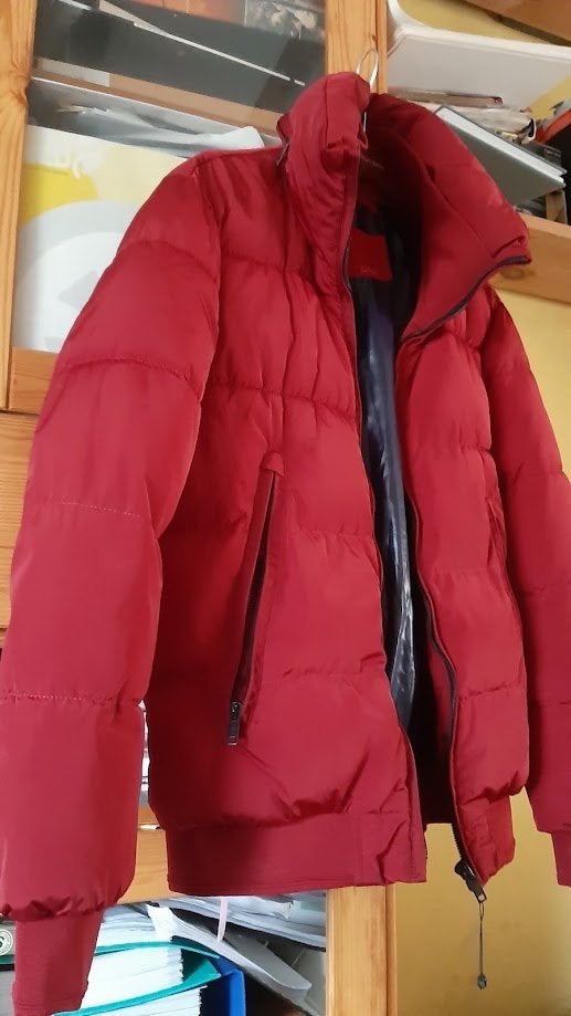 Doudoune sportive Zara Man rouge bordeaux L, Vêtements | Hommes, Autres couleurs, Zara Man, Envoi, Taille 52/54 (L)