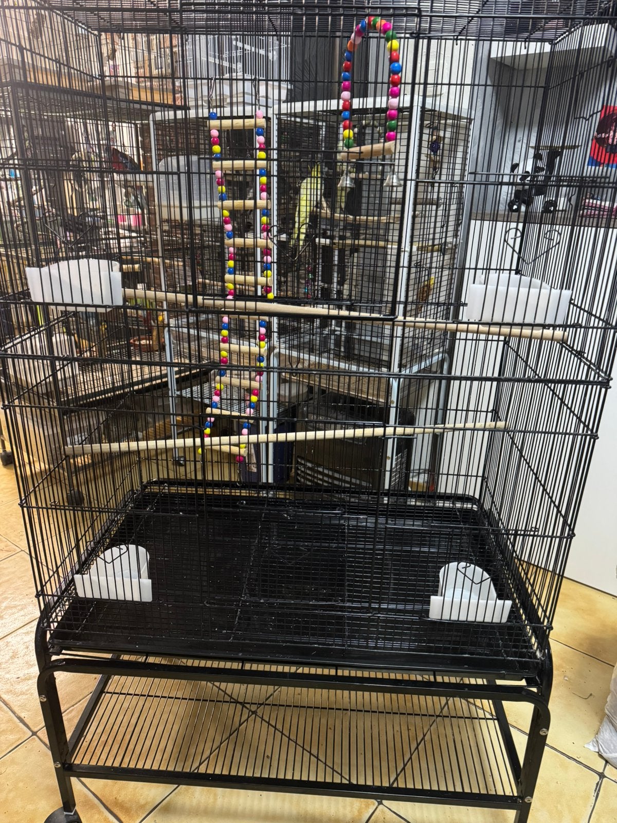 Volière oiseaux, Animaux & Accessoires, Enlèvement, Utilisé, Métal, Volière