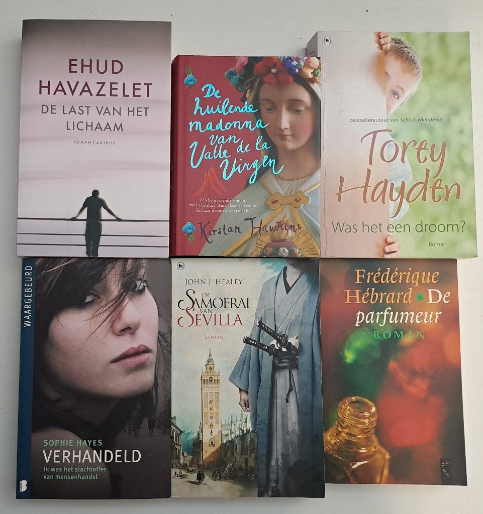 Romans & Literatuur (6), Ophalen of Verzenden, Gelezen, Amerika