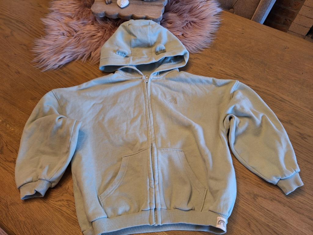 Sweater met rits - zachtgroene hoodie, Gebruikt, Jongen of Meisje, Trui of Vest, Ophalen of Verzenden