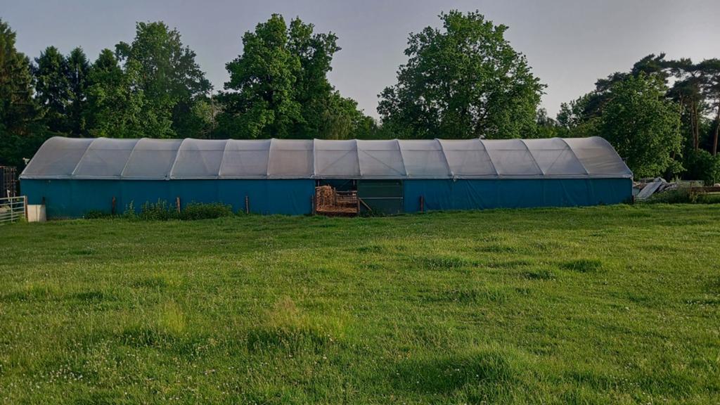 Serre stal, Zakelijke goederen, Landbouw | Aardappelen, Groenten, Fruit en Vlees, Ophalen