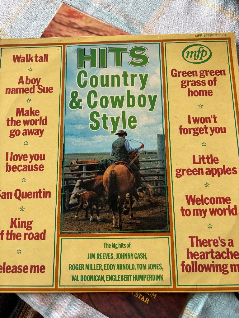 Hits Country & Cowboy style, Ophalen of Verzenden, Gebruikt, Country