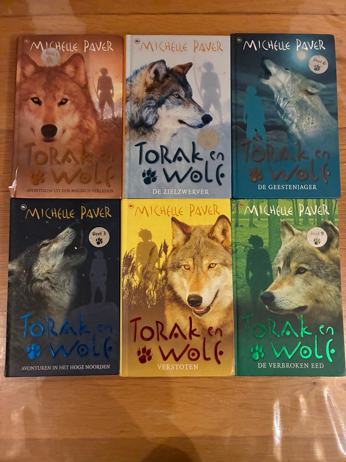 Torak en Wolf Volledige serie NL, Boeken, Ophalen, Gelezen