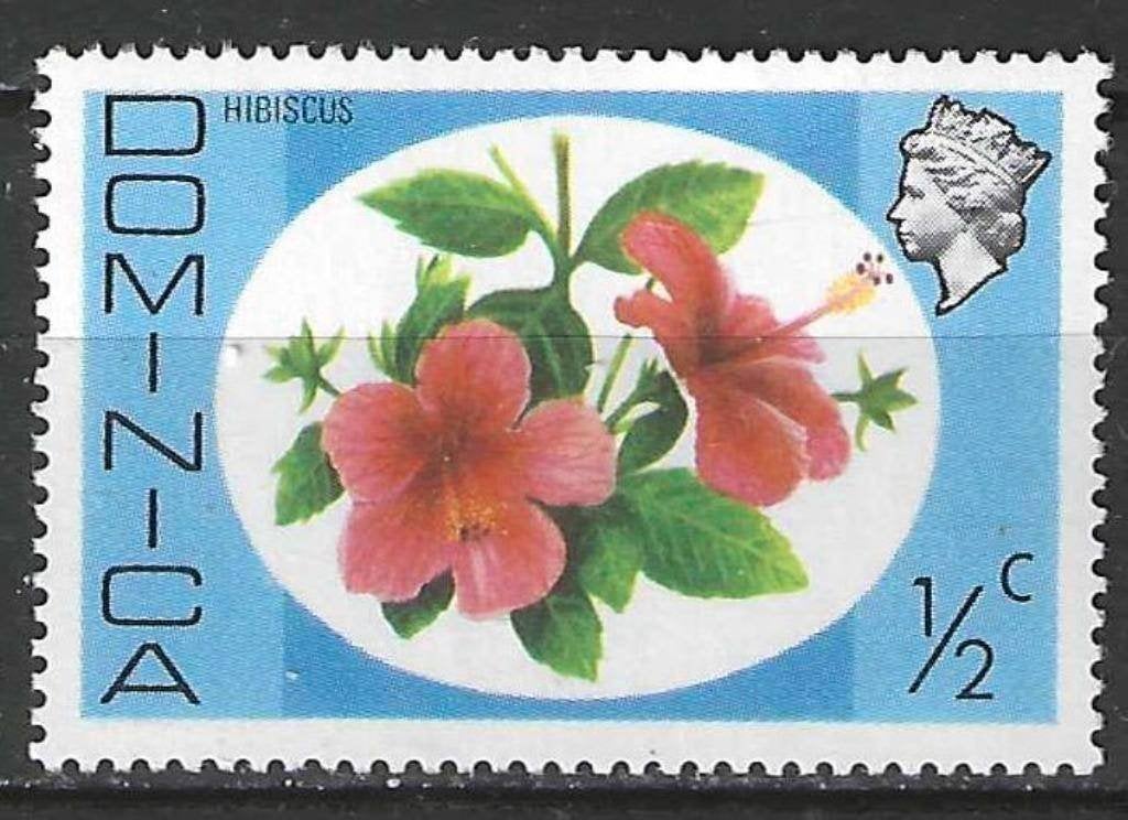 Dominique 1975 - Yvert 447 - Hibiscus (PF), Envoi, Non oblitéré