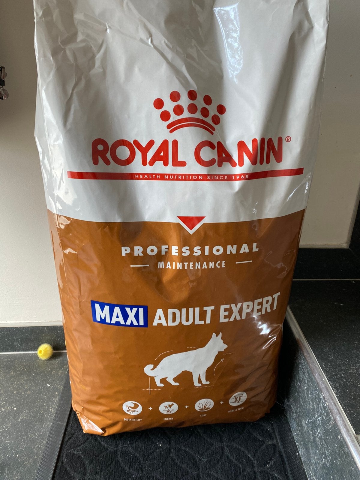 Sac de croquettes pour chien maxi royal canin, Animaux & Accessoires, Enlèvement, Chien