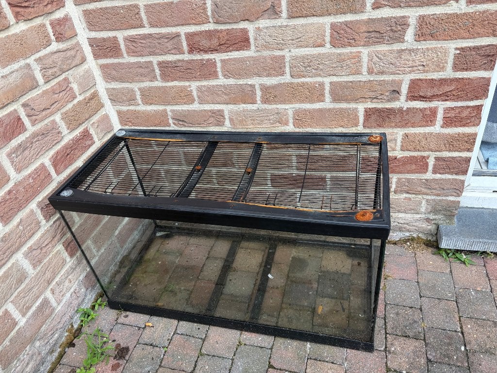 Terrarium, Ophalen, Gebruikt, Terrarium of Paludarium