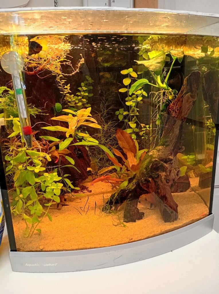 30L Nano Aquarium, Dieren en Toebehoren, Ophalen