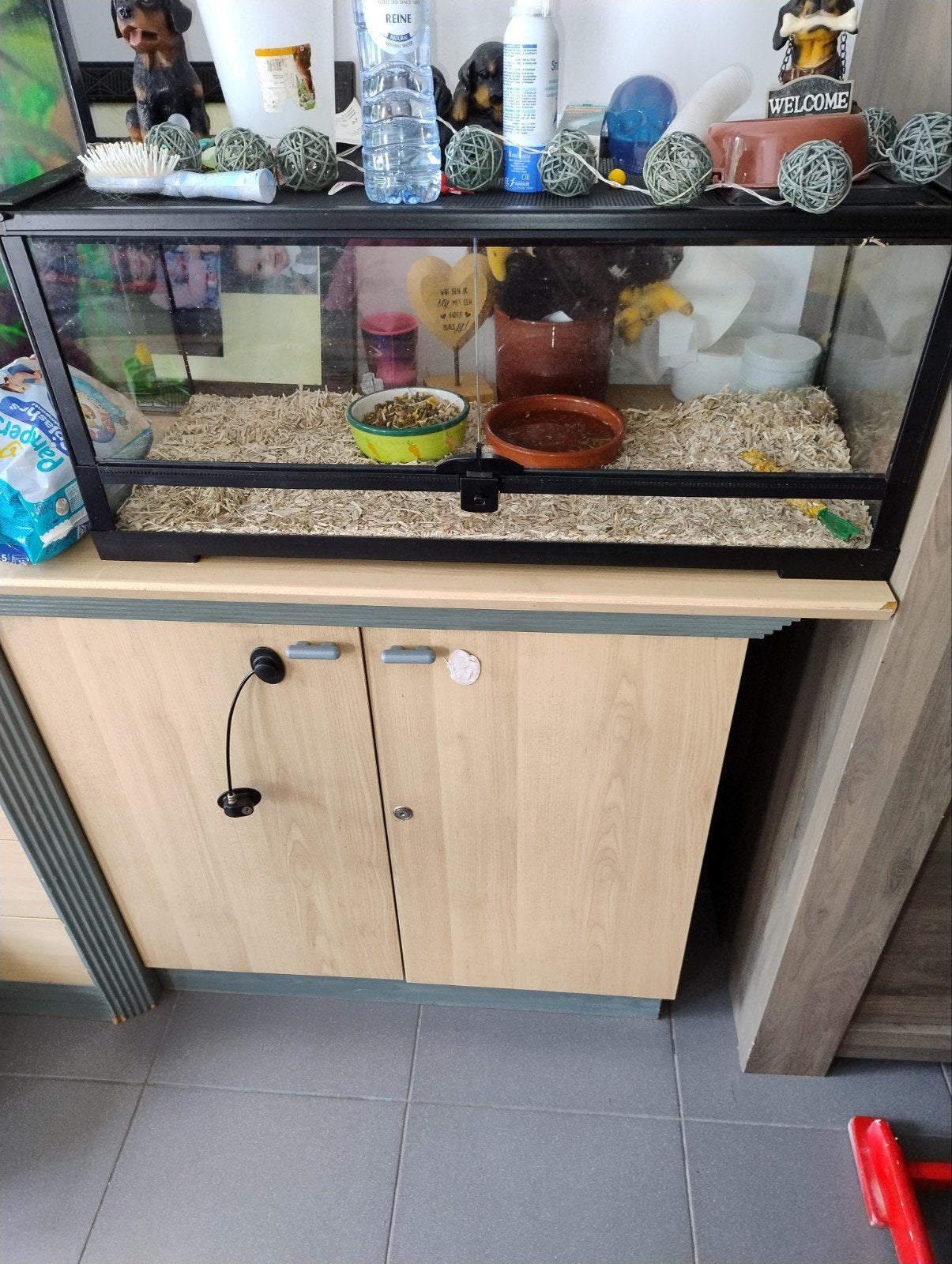 terrarium reptielen, Animaux & Accessoires, Reptiles & Amphibiens | Accessoires, Enlèvement, Utilisé