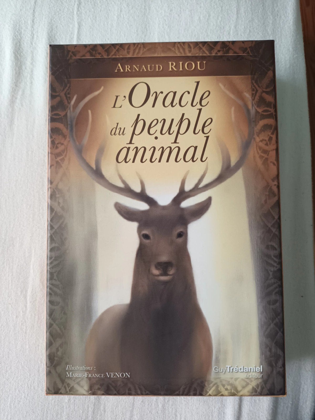 L'oracle du peuple animal Arnaud Riou, Enlèvement