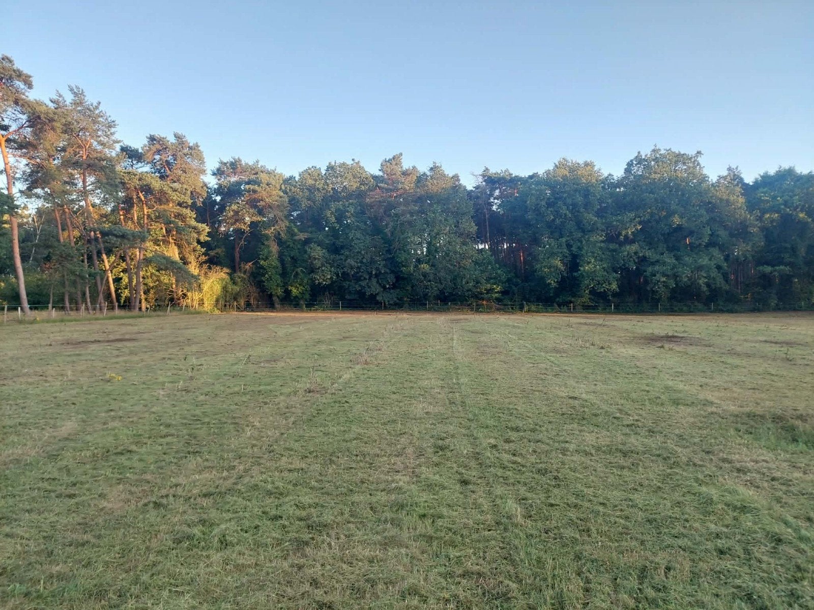 weiland voor paarden gezocht, Dieren en Toebehoren, Stalling en Weidegang
