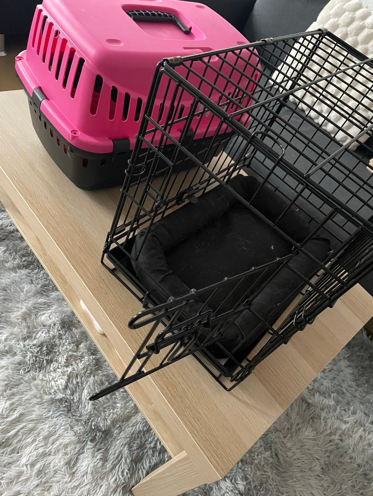Set caisse pour chat + boîte de transport, Animaux & Accessoires, Boîtes de transport, Comme neuf, Enlèvement