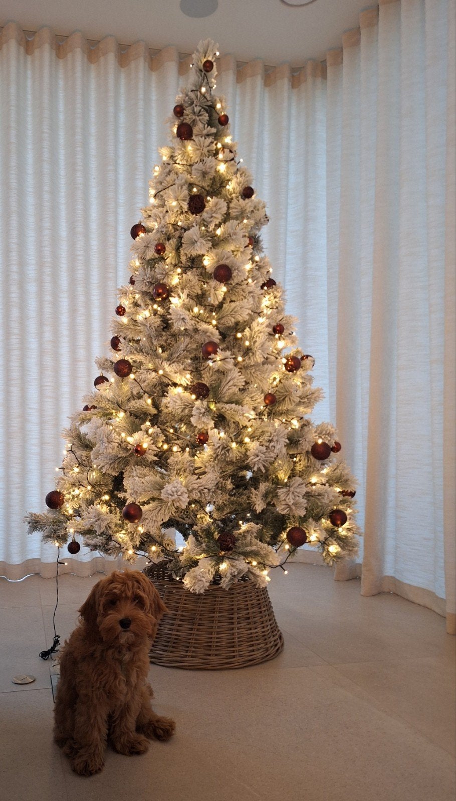 kerstboom, Diversen, Kerst, Ophalen