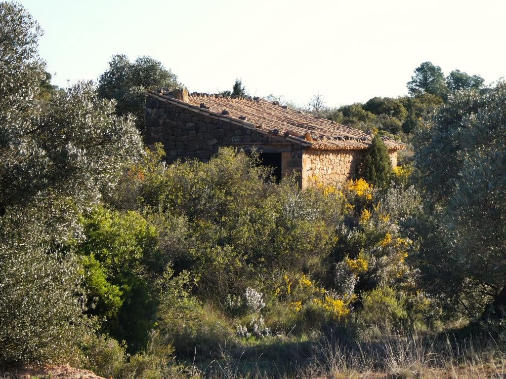 Finca in Fabara (Aragón, Spanje) - 1114, 34 m², Overige soorten, Spanje, Landelijk