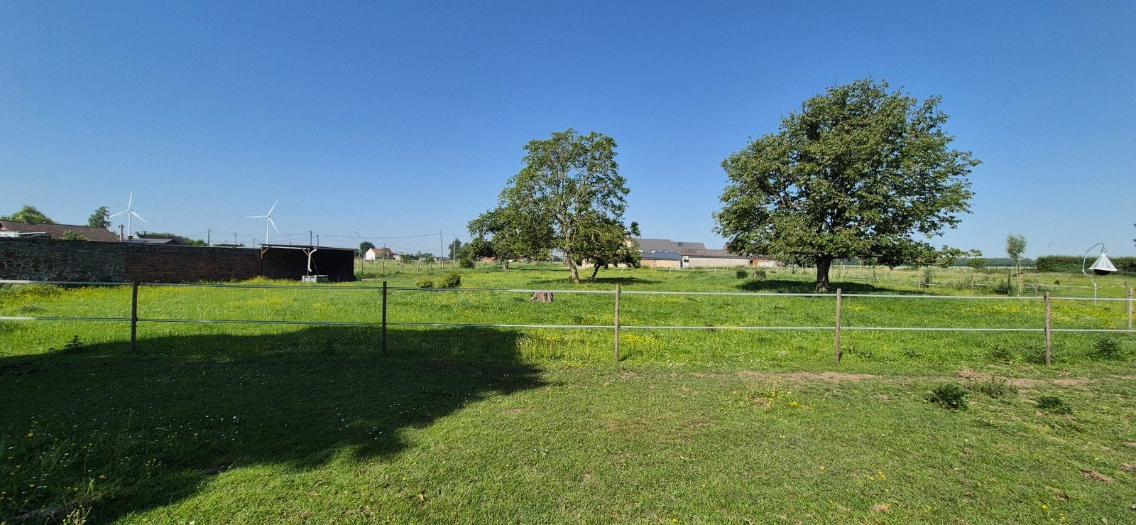 Prairie pour chevaux