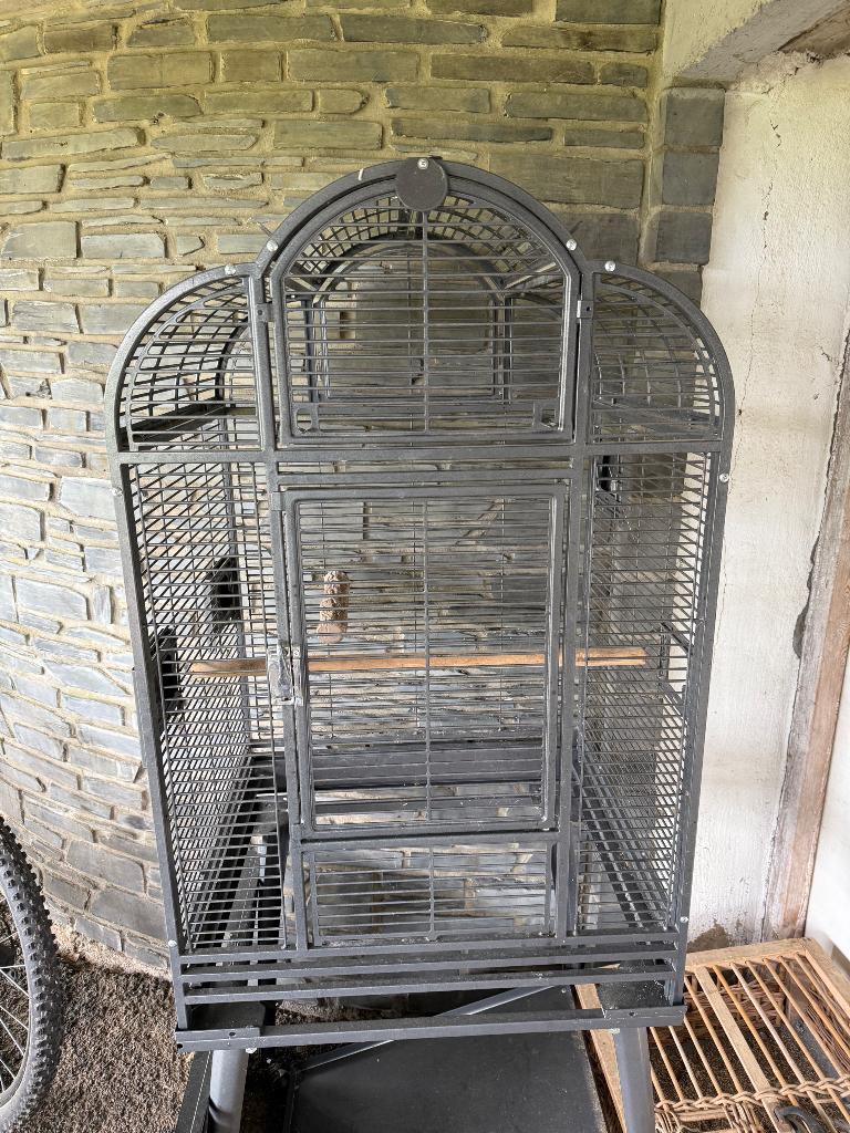 Cage perroquet, Enlèvement