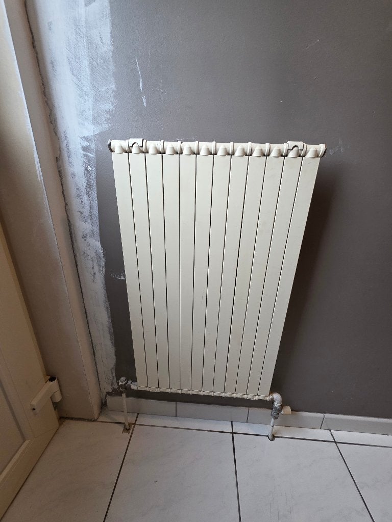 Radiatoren, Doe-het-zelf en Bouw, Ophalen, 30 tot 80 cm, Gebruikt, Radiator