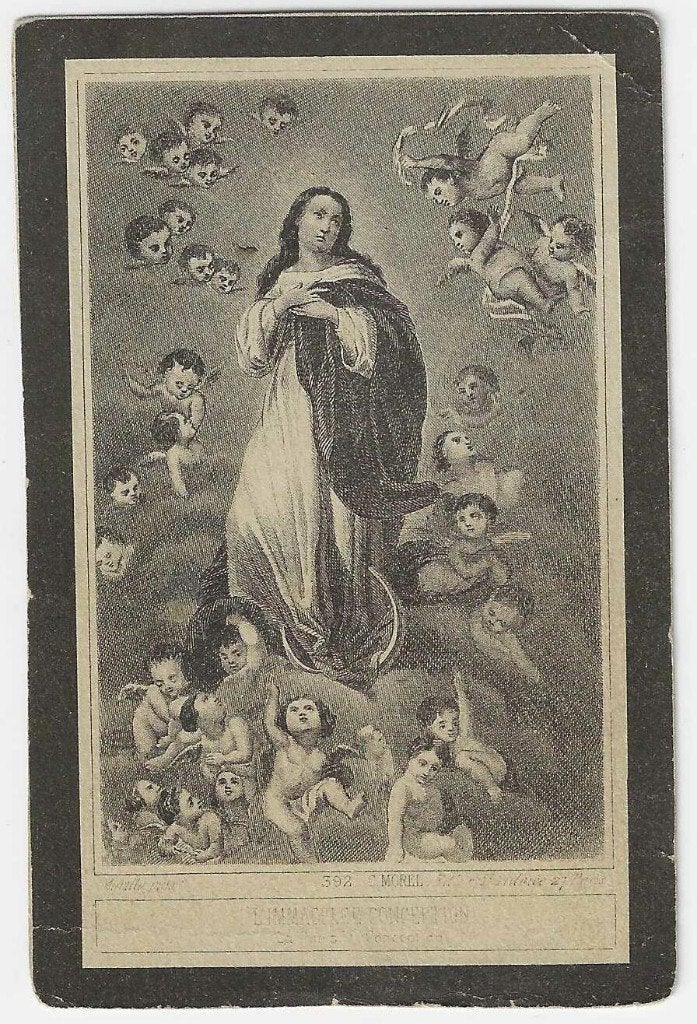 Julia Francisca Welvis, Antwerpen 1884 - Antwerpen 1899, Ophalen of Verzenden, Bidprentje