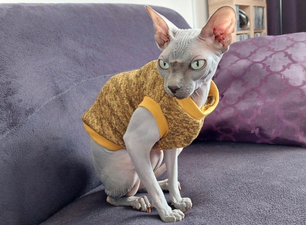 Handmade Kattenkleding Sphynx Kat Rex Kitten Korthaar, Dieren en Toebehoren, Ophalen of Verzenden, Nieuw