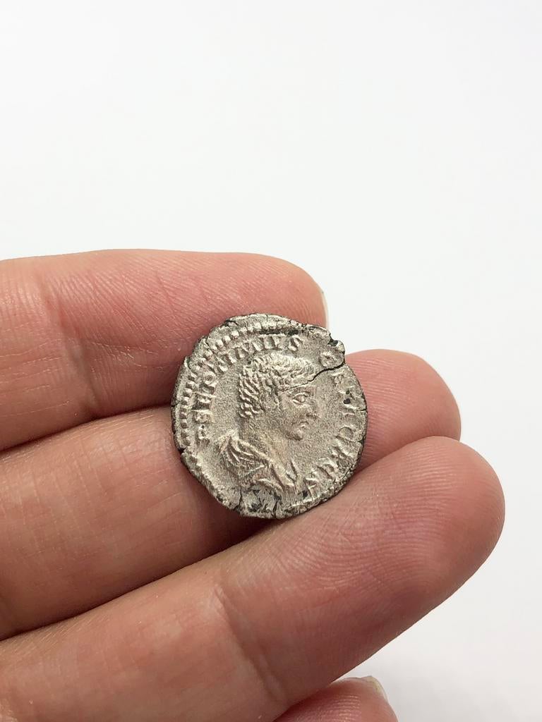 Romeinse munteenheid, Geta denarius (198-209 AD), Ophalen of Verzenden, Italië, Losse munt, Zilver