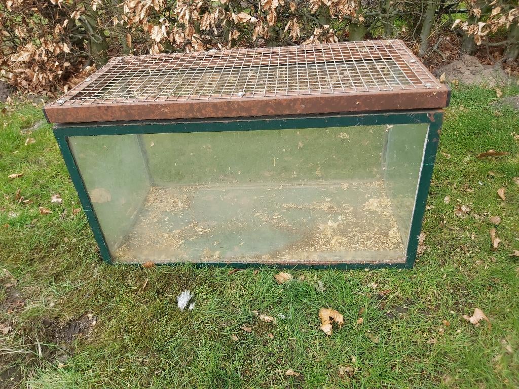 kooi voor knaagdieren, Dieren en Toebehoren, Kooi, Gebruikt, Minder dan 75 cm, Konijn