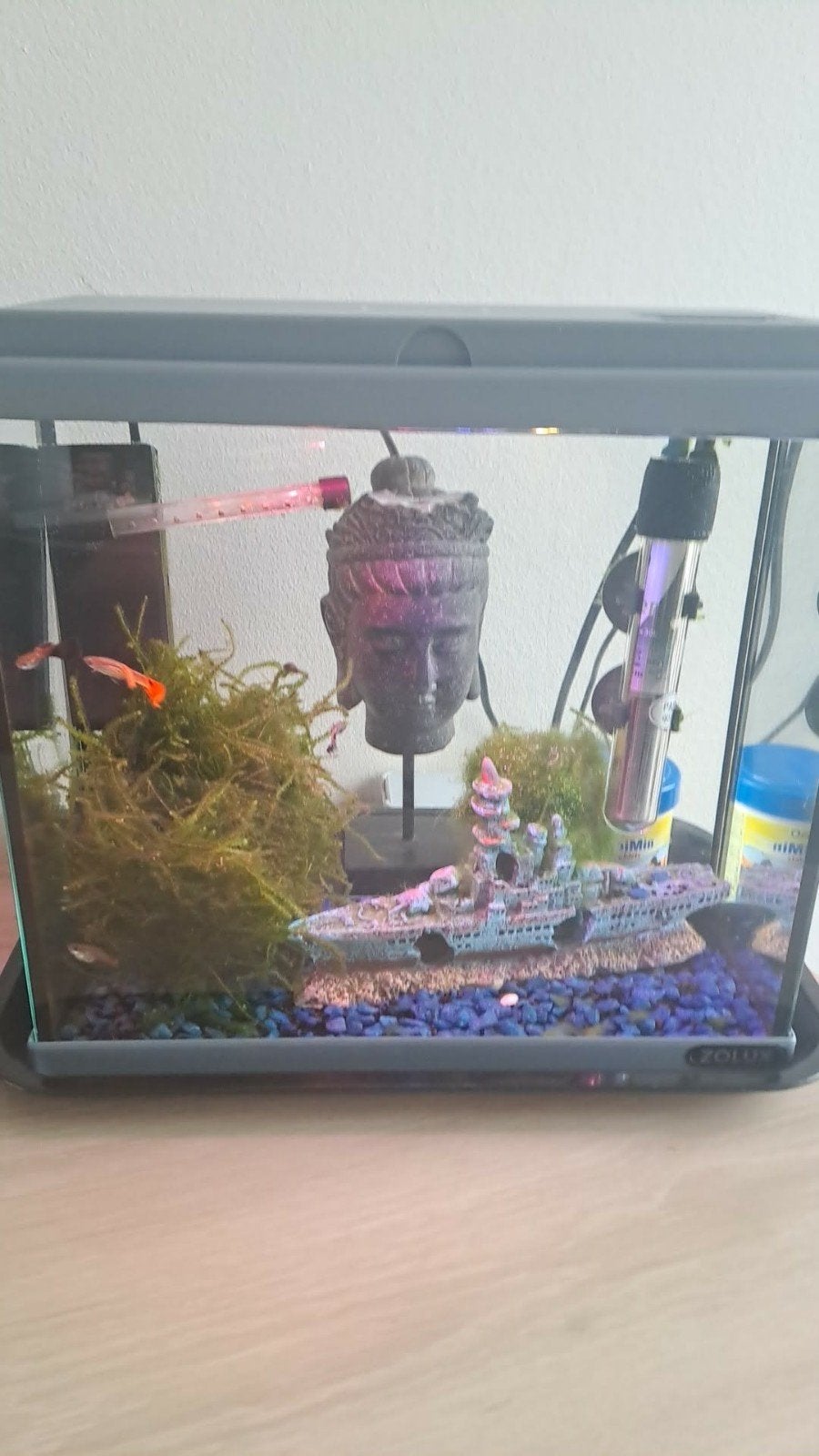 Kleine aquarium 25cm12cm, Ophalen, Verwarming, Filter