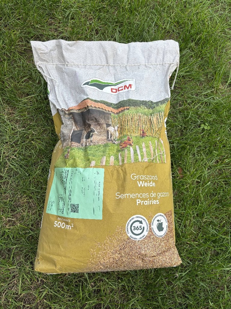 DCIM Graszaad weide, Ophalen of Verzenden, Nieuw, 20 m² of meer, Gras