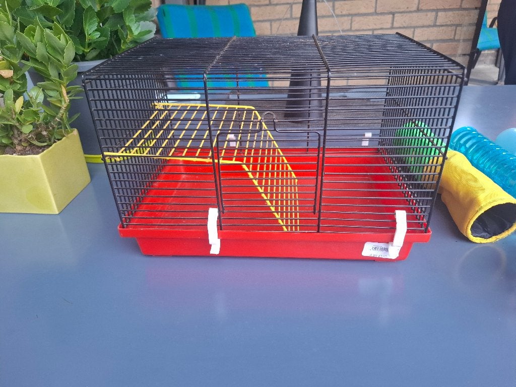Hamster kooi, Dieren en Toebehoren, Kooi, Gebruikt, Minder dan 75 cm, Muis