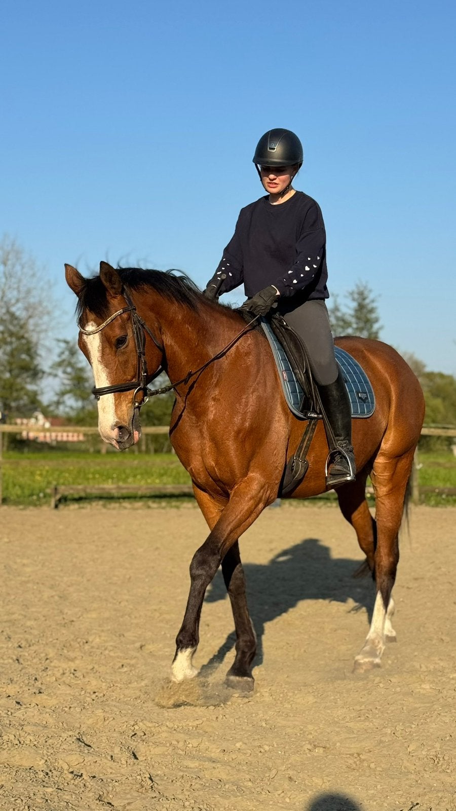 10-jarige ruin – Irish Hunter/OTTB – 1m66, Dieren en Toebehoren, Paarden, Ruin