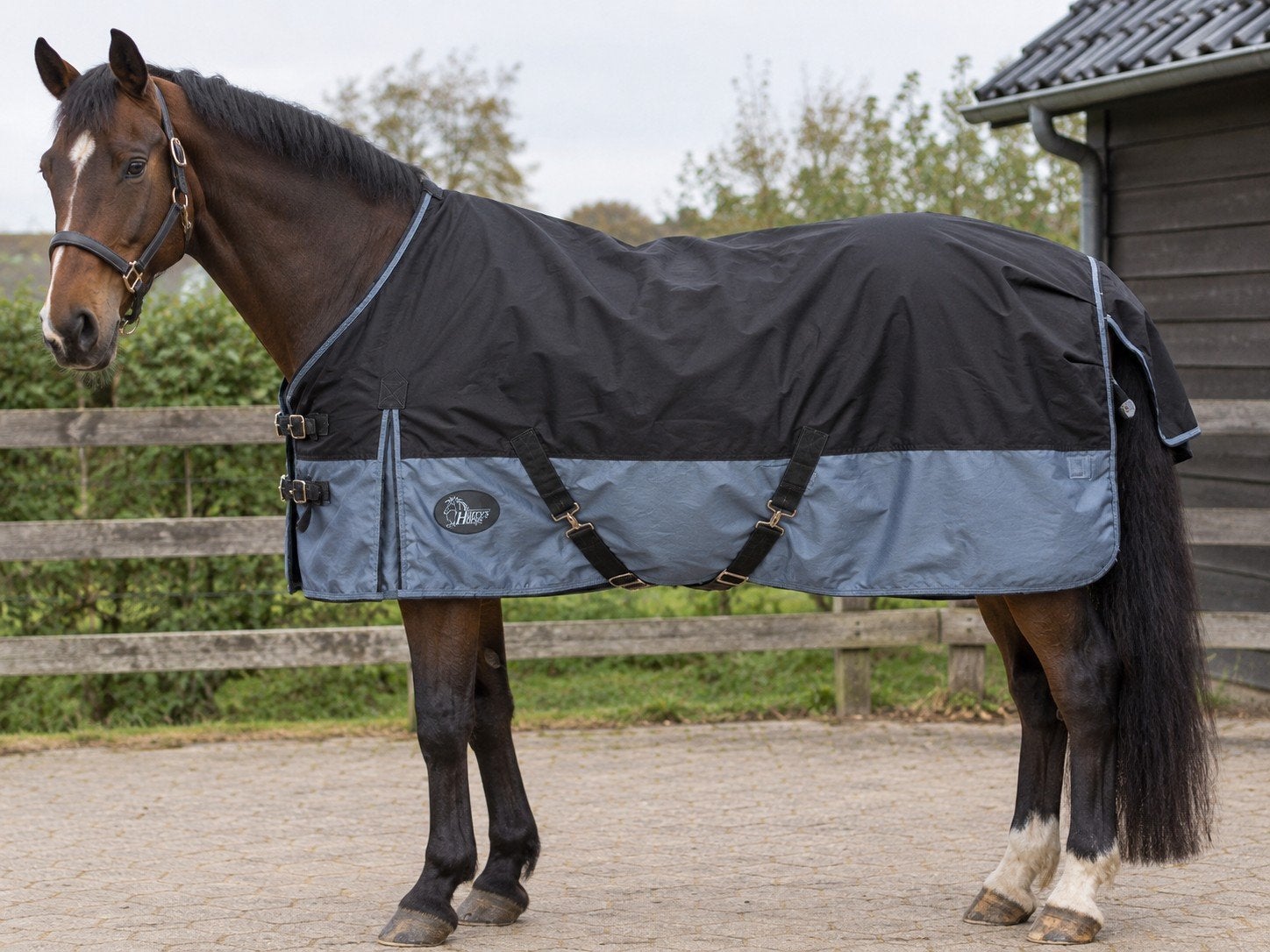 winterdeken harrys horse, Ophalen of Verzenden, Deken
